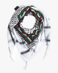 Palestine Embroidered Kufiya